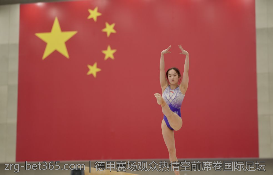 德甲赛场观众热情空前席卷国际足坛
