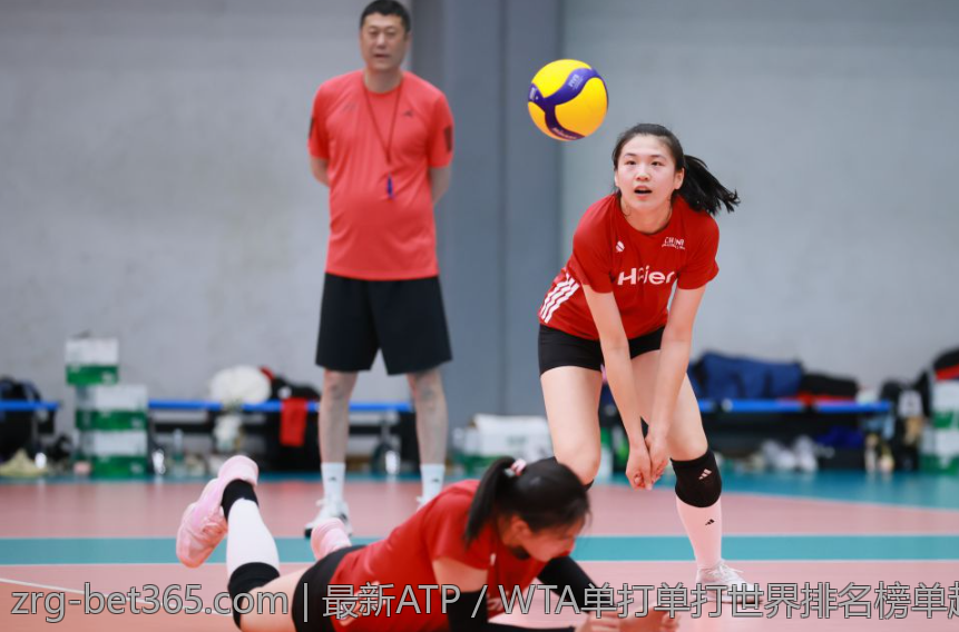 最新ATP／WTA单打单打世界排名榜单趋势与分析