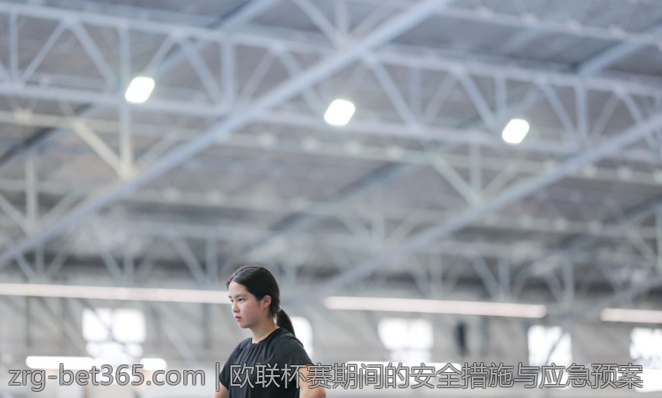 欧联杯赛期间的安全措施与应急预案