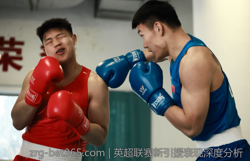 英超联赛新引援表现深度分析